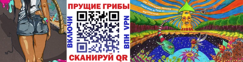 Псилоцибиновые грибы Cubensis  Купить закладки  Новая Ляля 